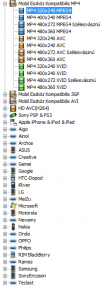 FormatFactory