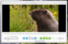 Freemake Video Converter